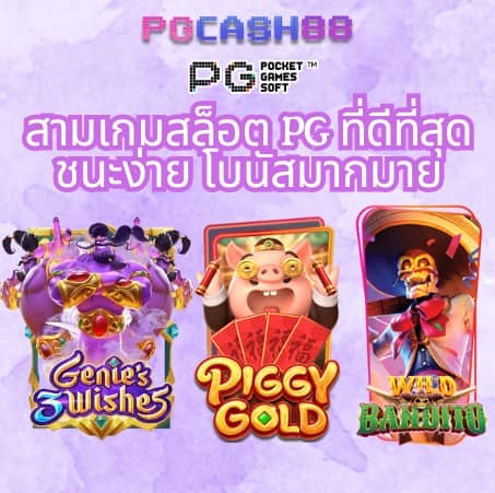 pgspin99